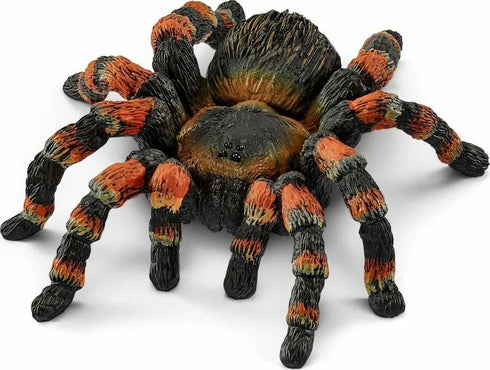 TARANTULA